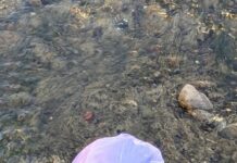 SPP: Zajedničkim snagama protiv nesavjesnih građana